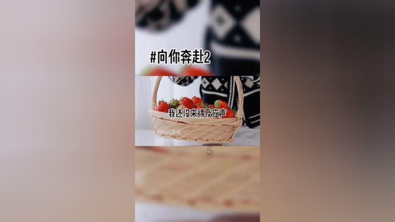 春雨直播app