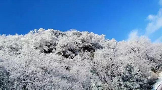 面板行业集体涨价！2024年2月电视价格或上涨