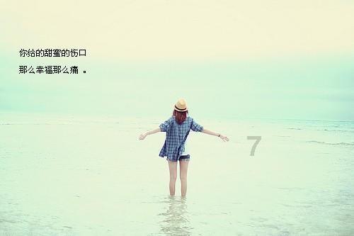 月光影视