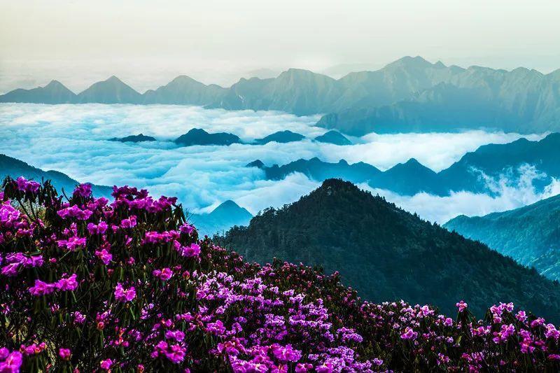 一人得道，鸡犬升天，“赵家班”的落幕，真是因为没有文化吗？